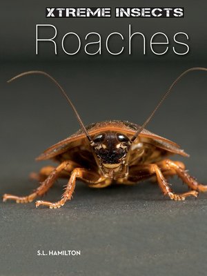cover image of Roaches